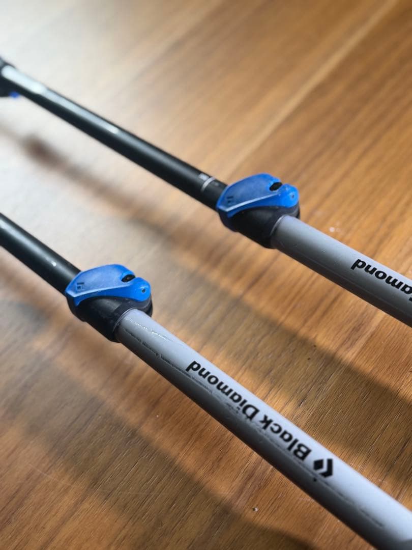  伸縮式スキーストック ポール Expedition3