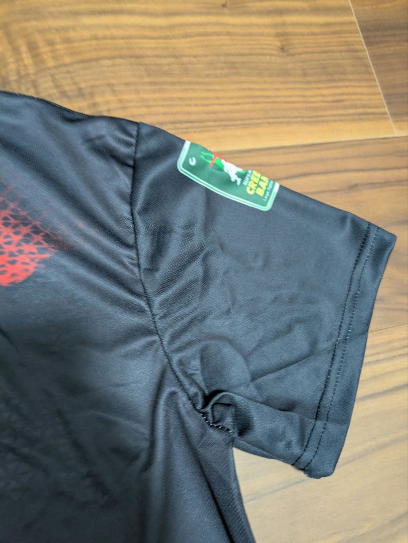 セリエA　ルーベ・バレー ユニフォーム　イタリア　ファングッズ　シャツ　ボットロ