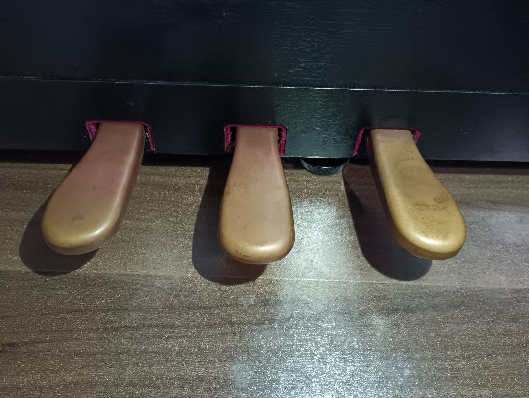 R’【送料込み】本体のみ Roland HP605-GP ローランド