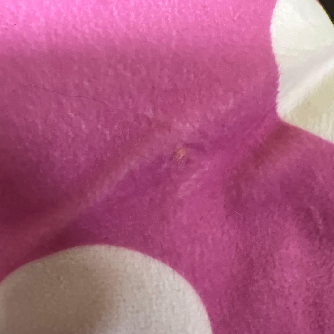 ミニー　パルパルーザ　ブランケット　ケース入り