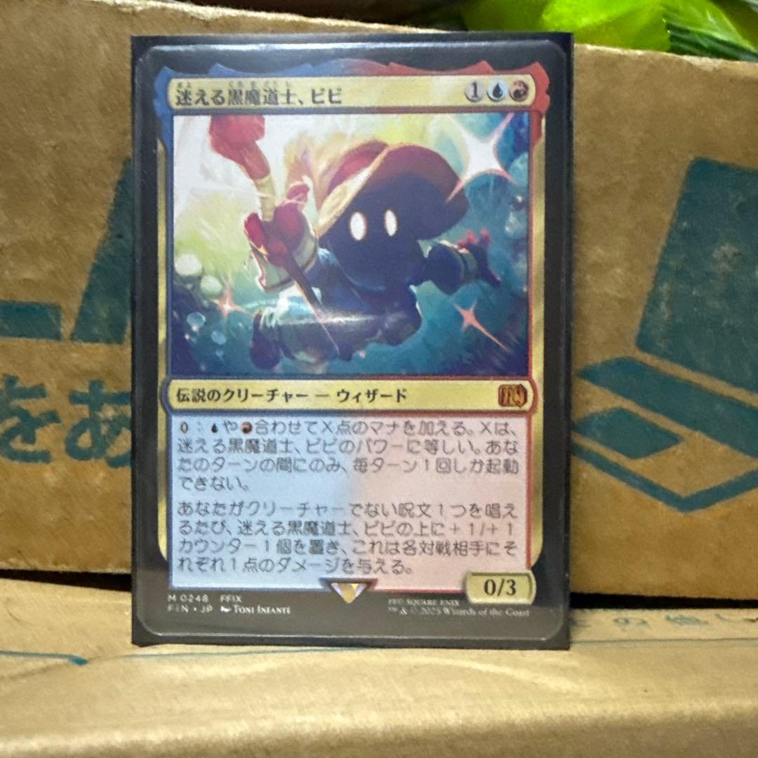 迷える黒魔道士、ビビ/Vivi Ornitier