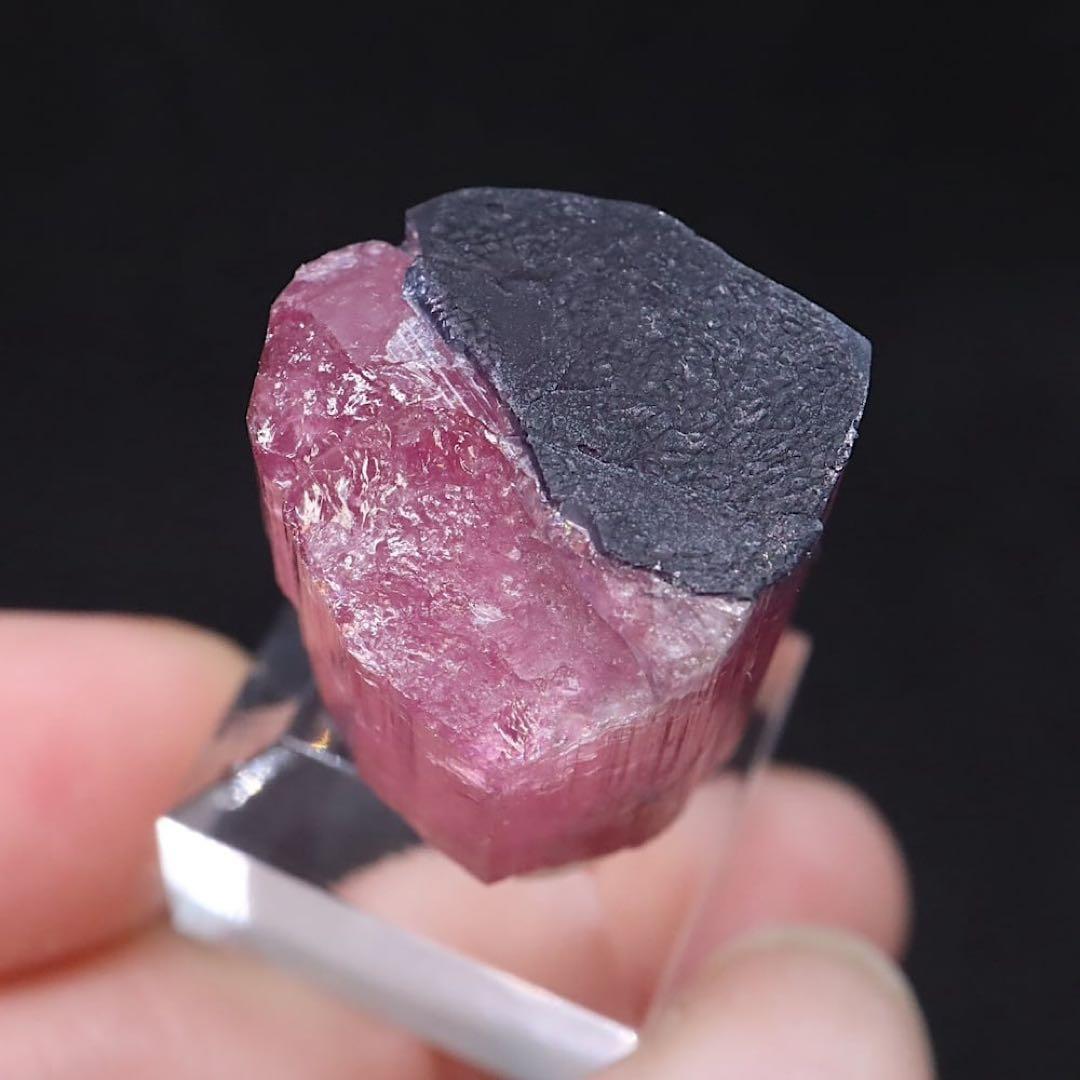 バイカラートルマリン 結晶 電気石 10.9g T725 鉱物　天然石　原石