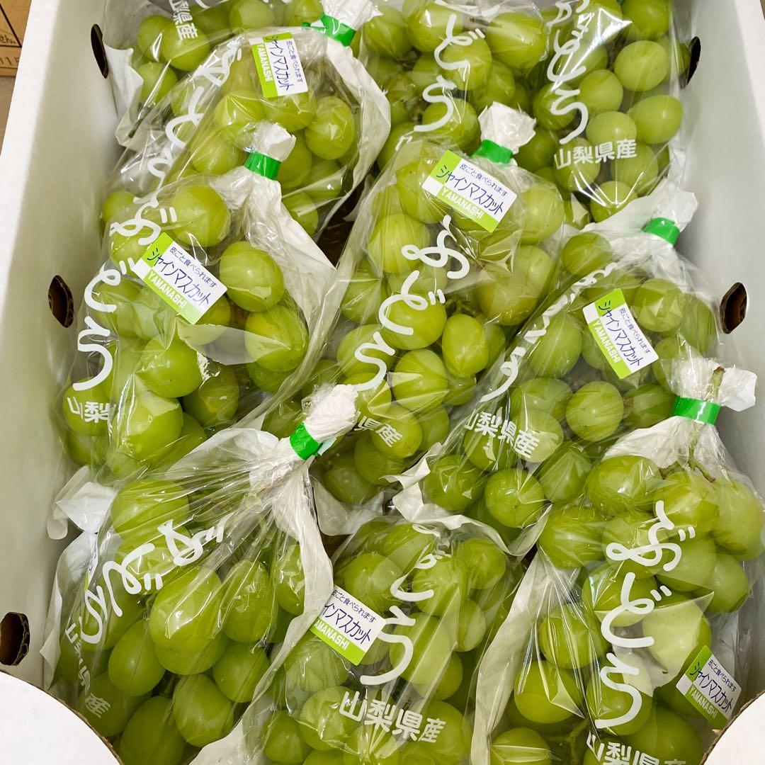 山梨県産　訳あり　家庭用　シャインマスカット　10房　箱込み4.5kg ⑱