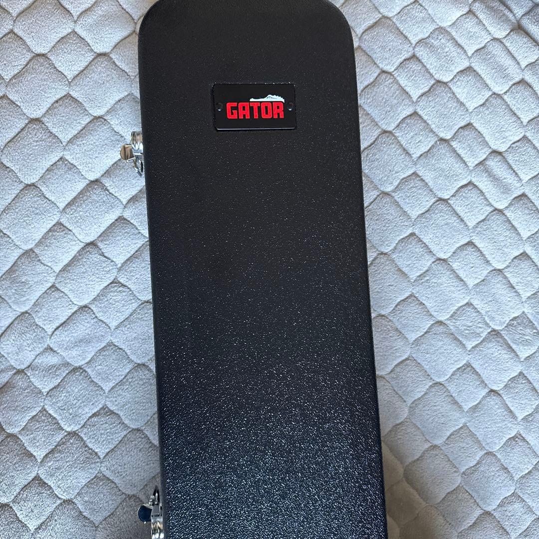 FUJIGEN bat フジゲン タイムレスティンバー レスポール