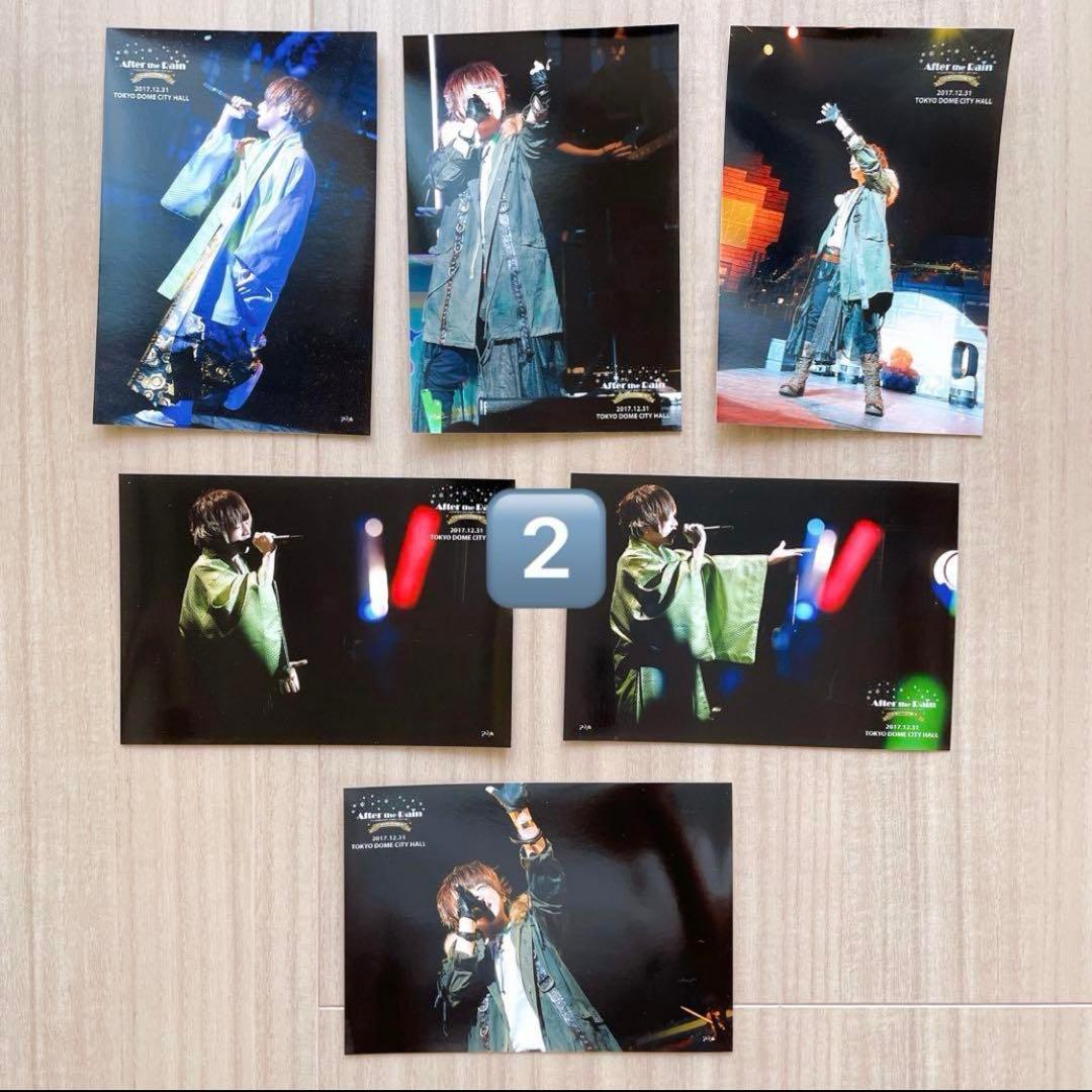 浦島坂田船　うらたぬき　やまだぬき　まとめ売り