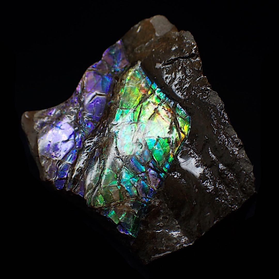 【カナダ/a産】アンモライト(プラセンチセラス)