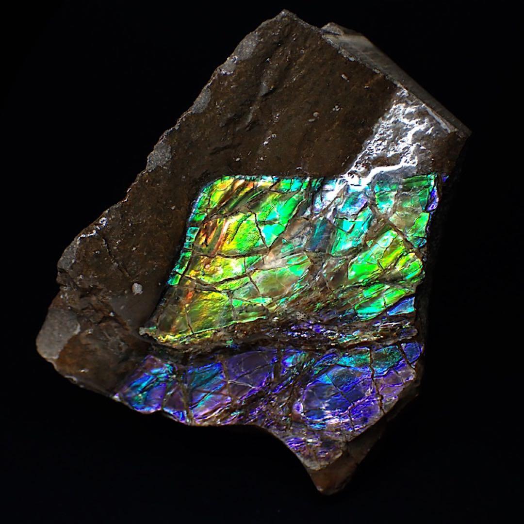 【カナダ/a産】アンモライト(プラセンチセラス)