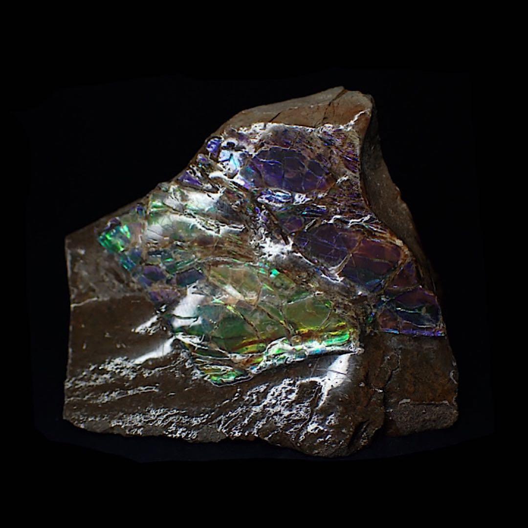 【カナダ/a産】アンモライト(プラセンチセラス)