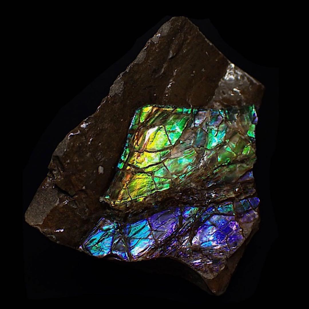 【カナダ/a産】アンモライト(プラセンチセラス)