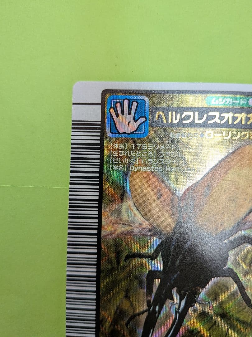 むるてぃしゅ様確認用