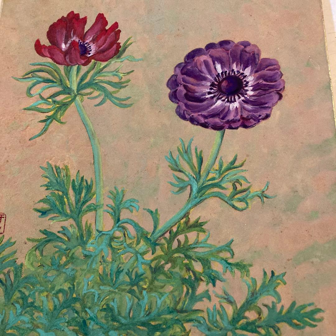 水彩画 アネモネ 赤紫