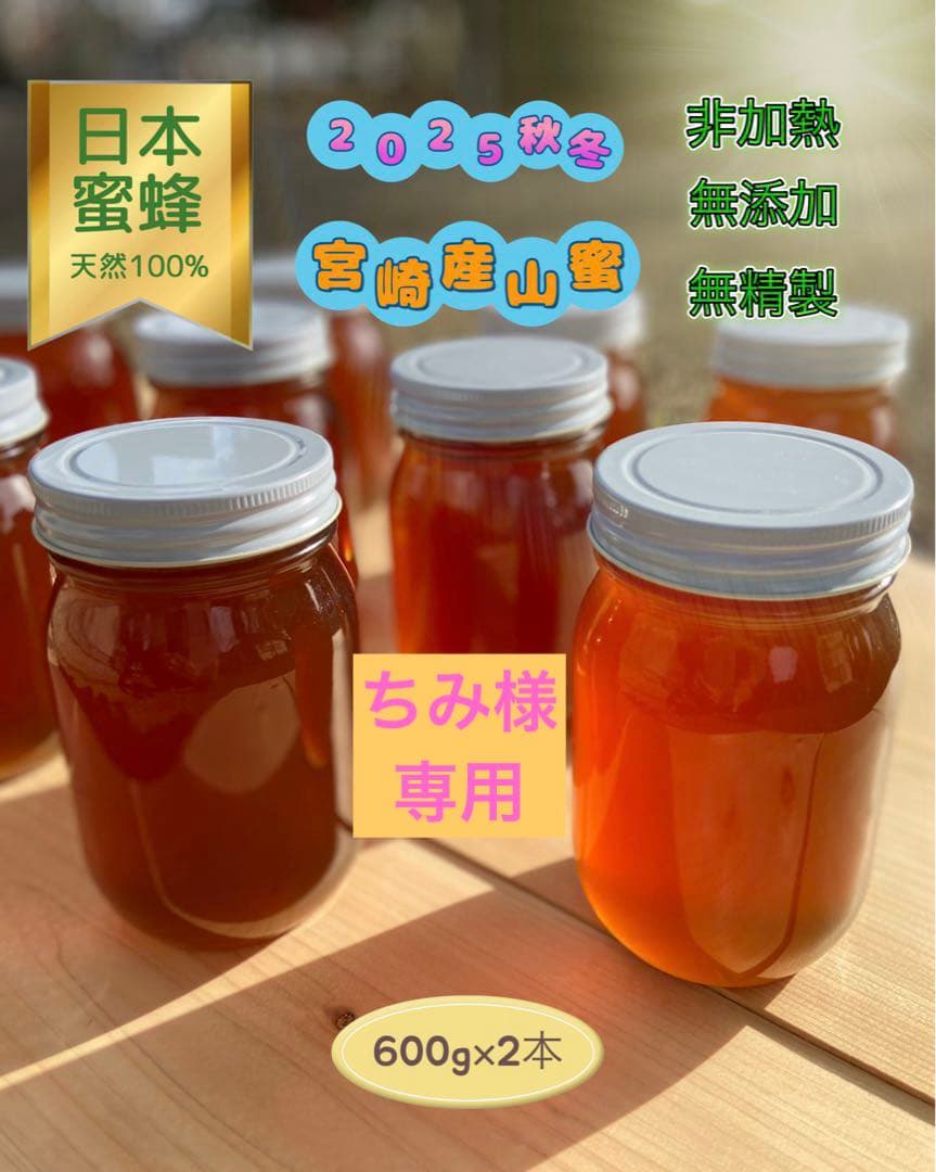 日本蜜蜂 純正ハチミツ 宮崎産 600g×2