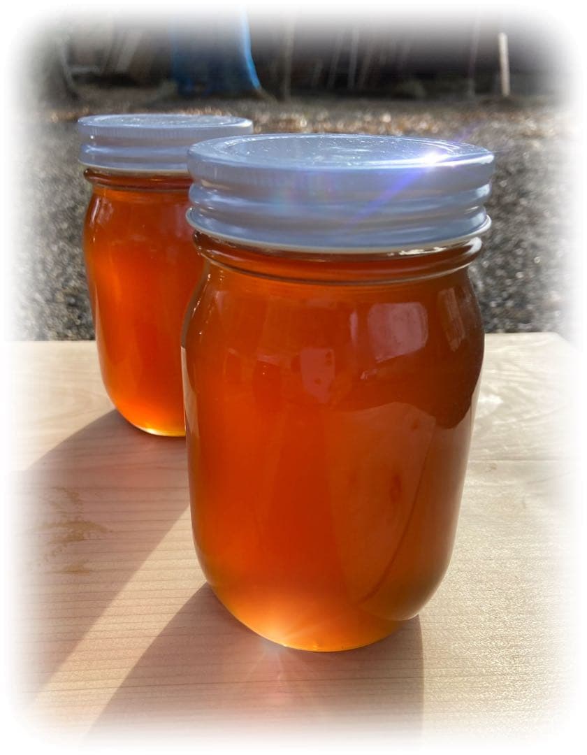 日本蜜蜂 純正ハチミツ 宮崎産 600g×2