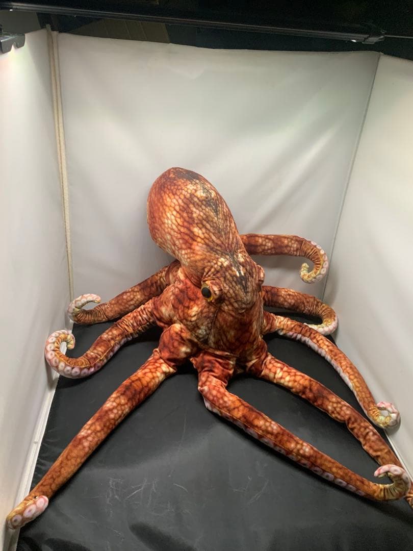 タコ　たこ　蛸　ぬいぐるみ　BIGサイズ❣️ 全長80センチ❣️ 送料込み幸運価格❣️