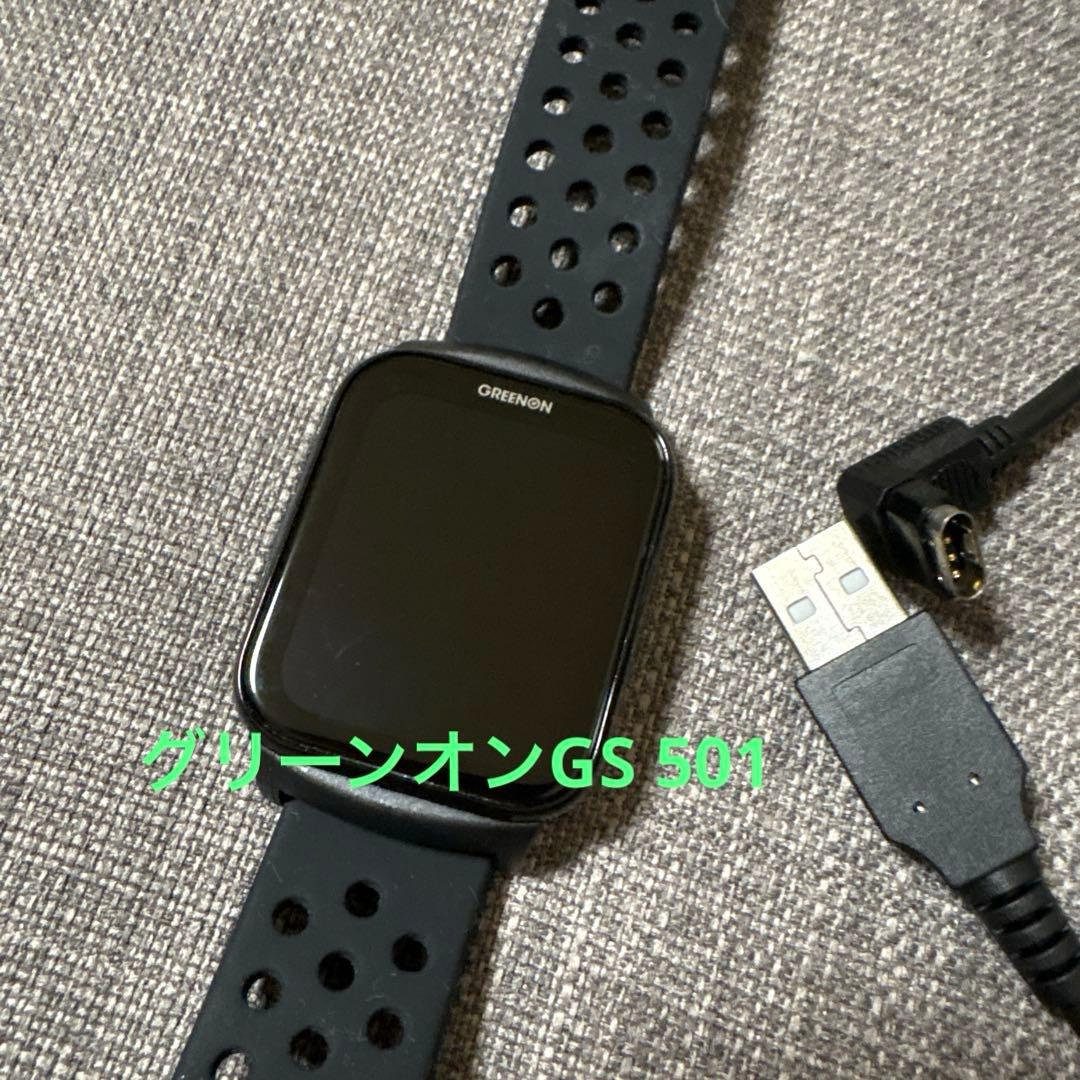 美品グリーンオン ゴルフウォッチGS501