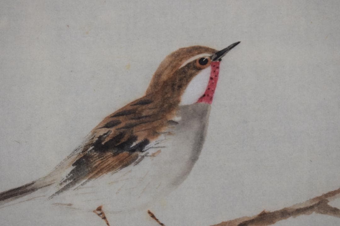 【真作】香川東華/花鳥之図/掛軸☆宝船☆Z-430