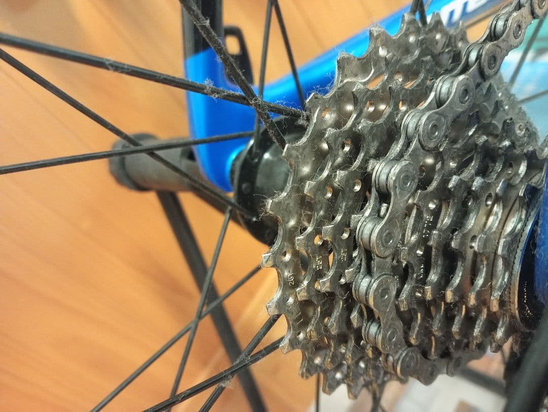 ラピエール Sensium 200 CP センシウムフルカーボン