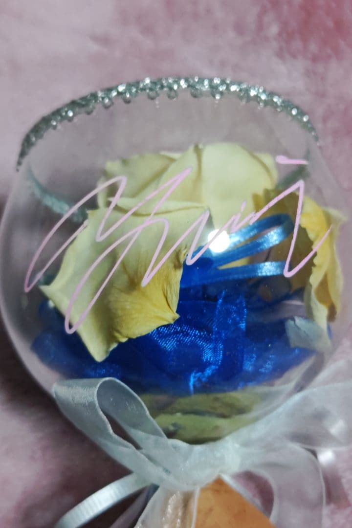 アルシオン　府川唯未　引退記念　グッズ