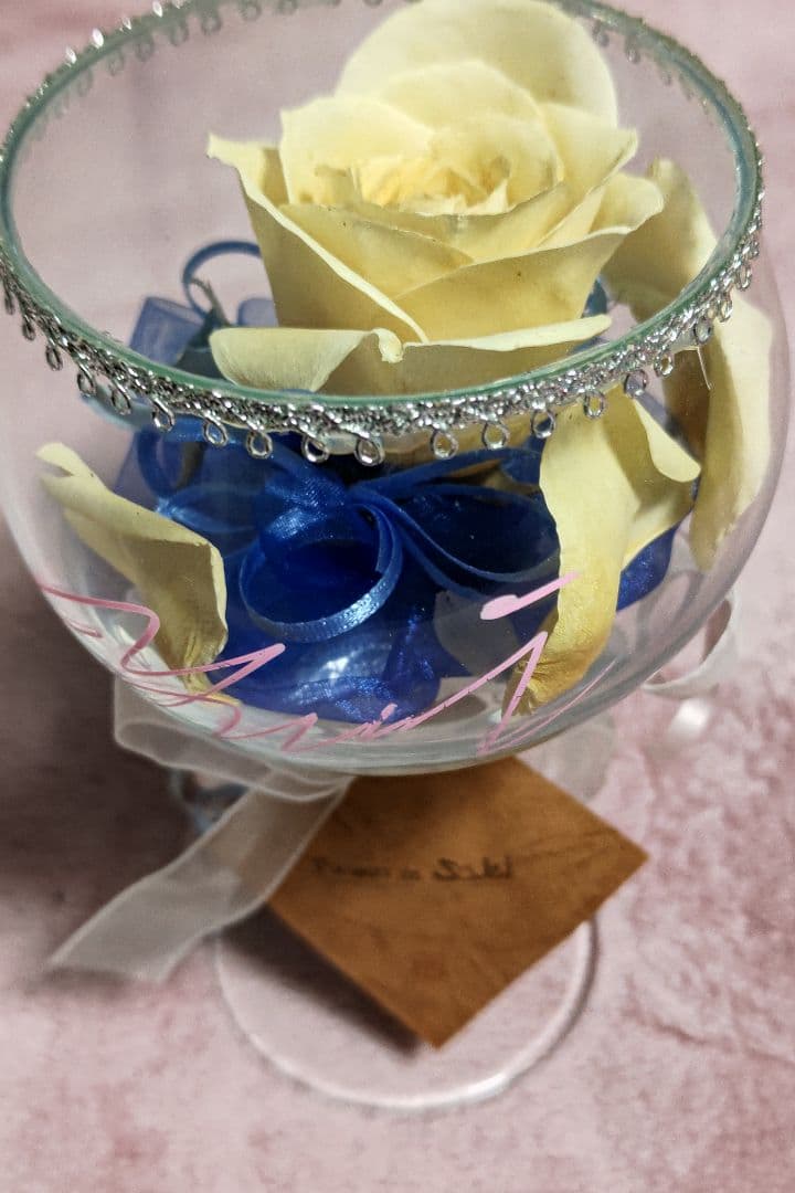 アルシオン　府川唯未　引退記念　グッズ