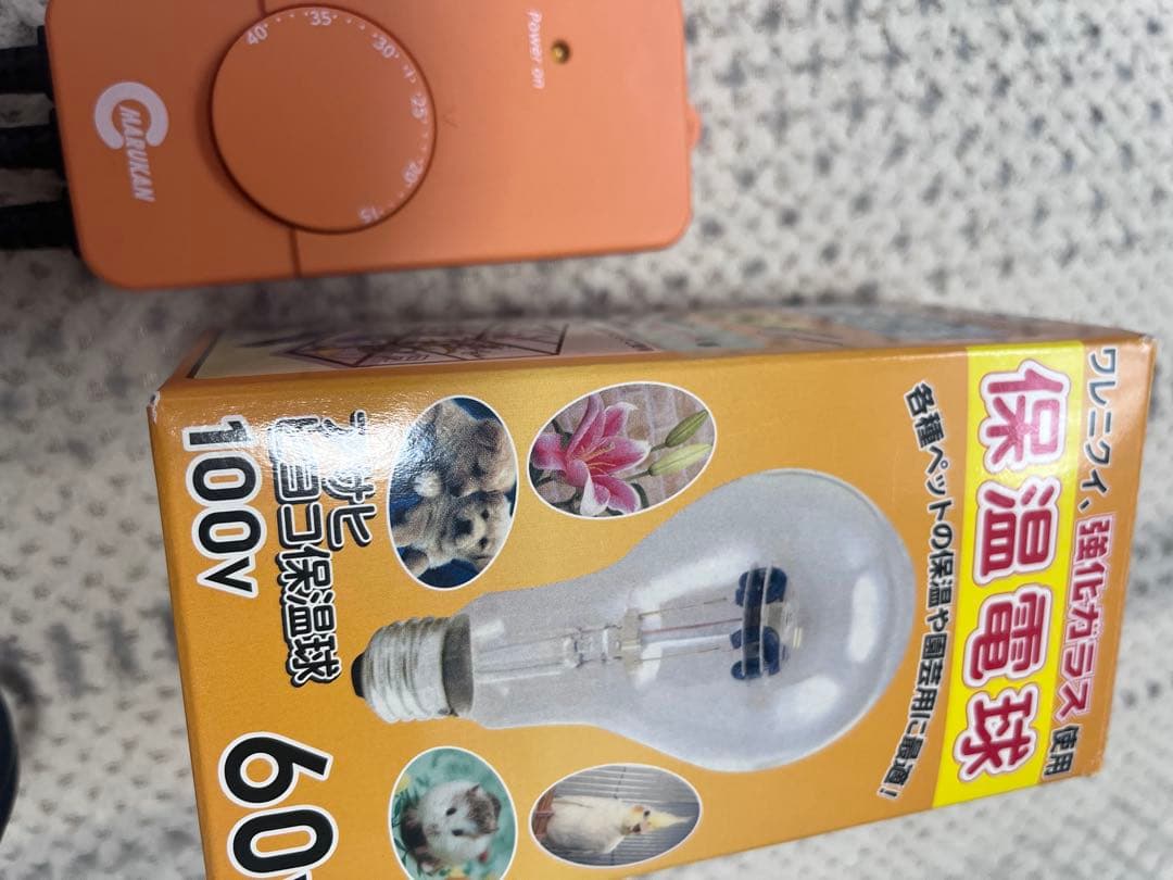 小動物用ヒーター　サーモスタッド　電球　セット　センサー　小鳥　マルカン　ペット