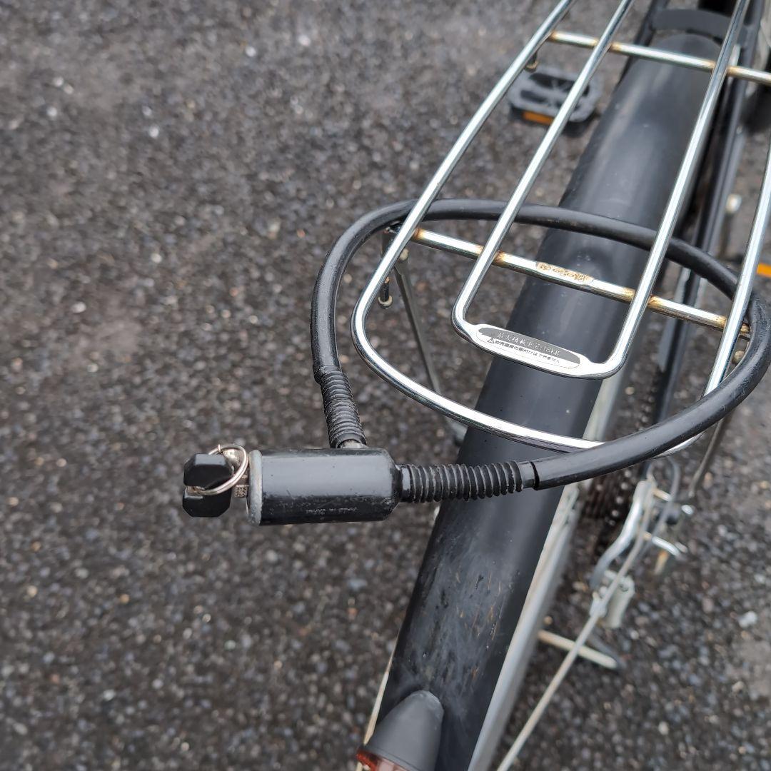 「Renami」【手渡し限定】ガクチャリ29インチ