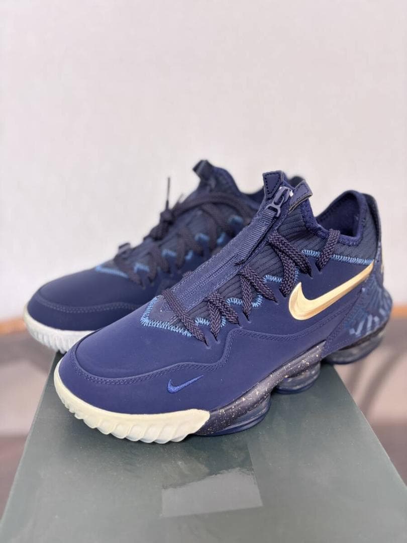 ナイキ レブロン 16 ローEP タイタン 新品 CJ9920-400 26cm