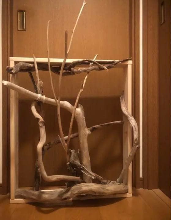 【No22】　ペット　小鳥用　流木　箱庭　とまり木　バードアスレチック