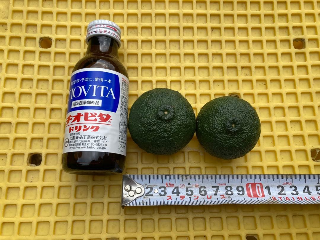 完全無農薬　青ゆず　青柚子　箱込み10kg弱