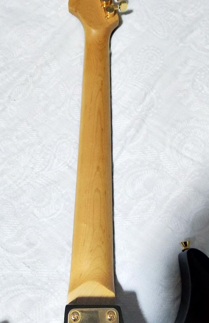 Anboy（フジゲン）AN-25 状態良好・整備調整済（ケーブル・ストラップ付）