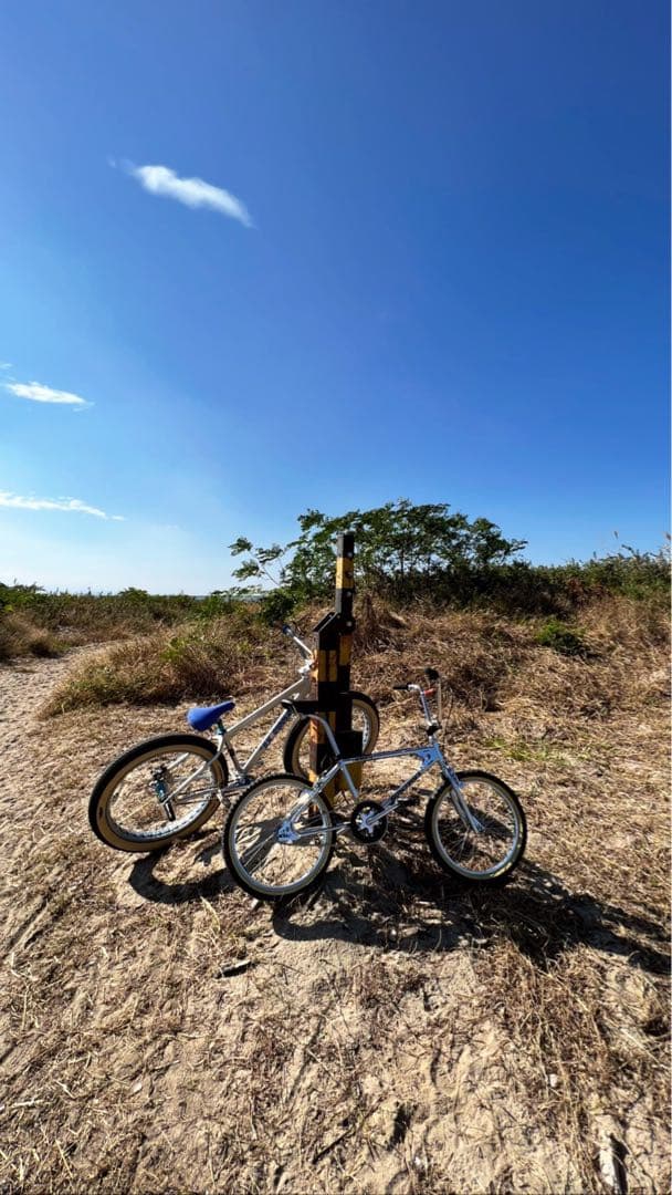 自転車本体 HOW I ROLL THE ROOTS CP