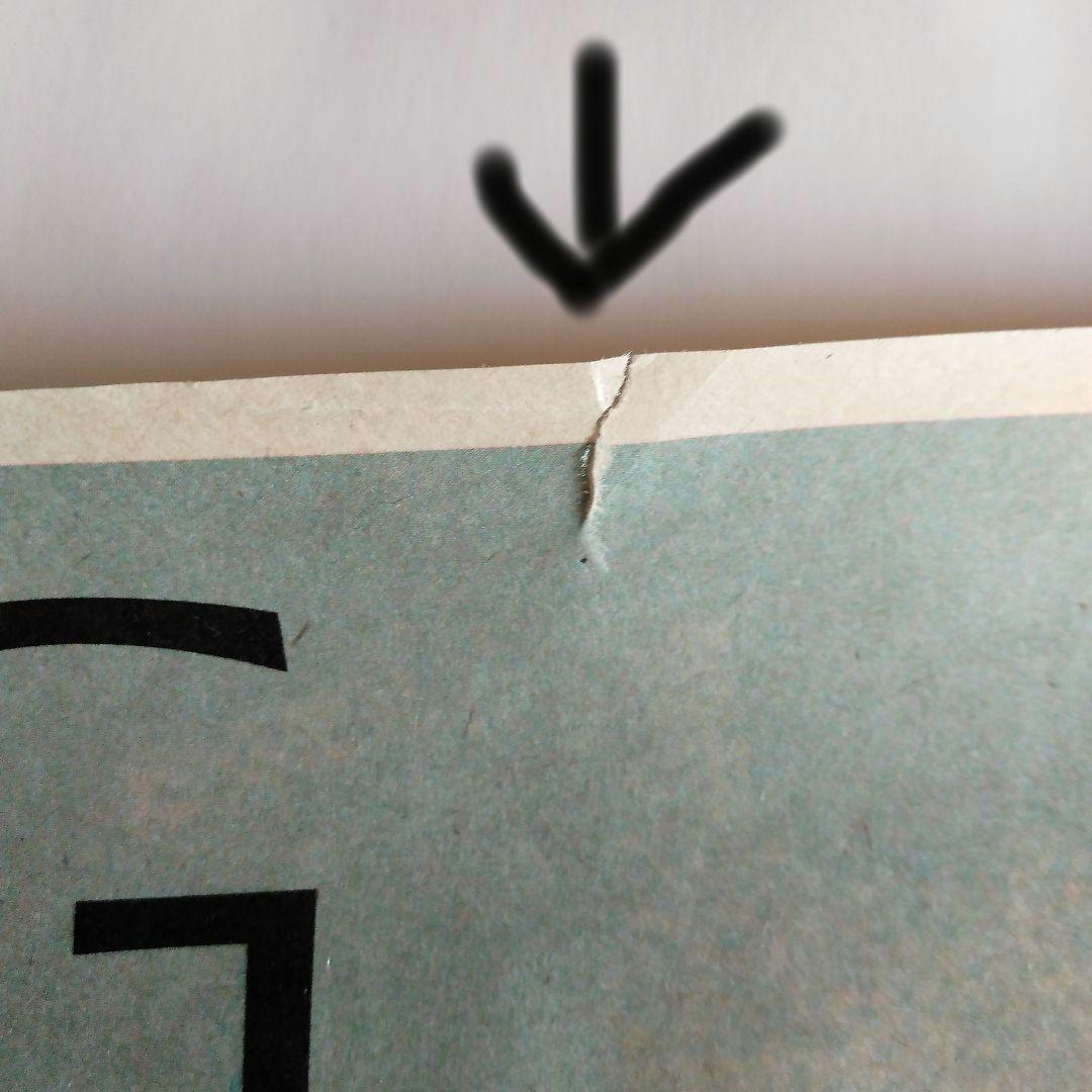 フェイ・ウォン 寓言（フェイブル）ポスター