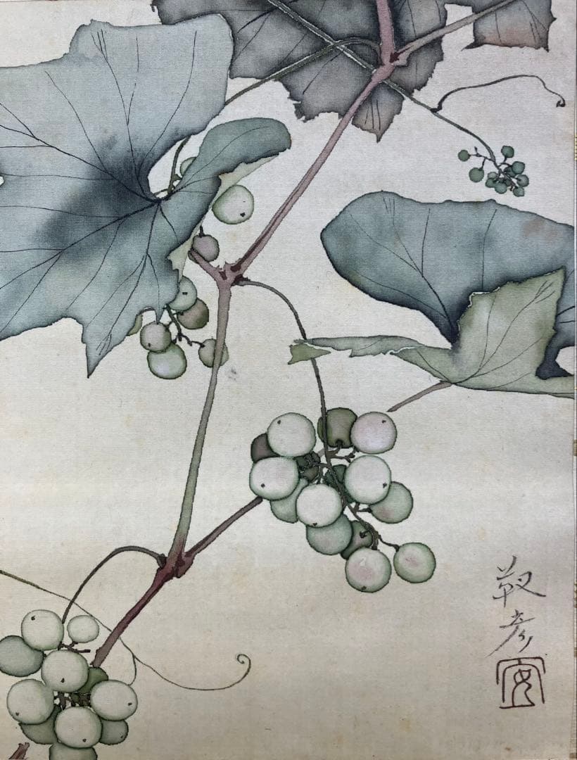 安田靫彦【葡萄】画　絹本　掛軸　共箱　2重箱（検索ワード／前田青邨）