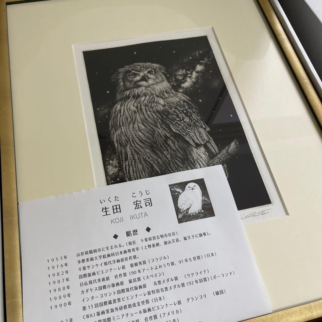 サイン入り　生田宏司　ギャラクシーカムイ　フクロウ　銅版画　メゾチント