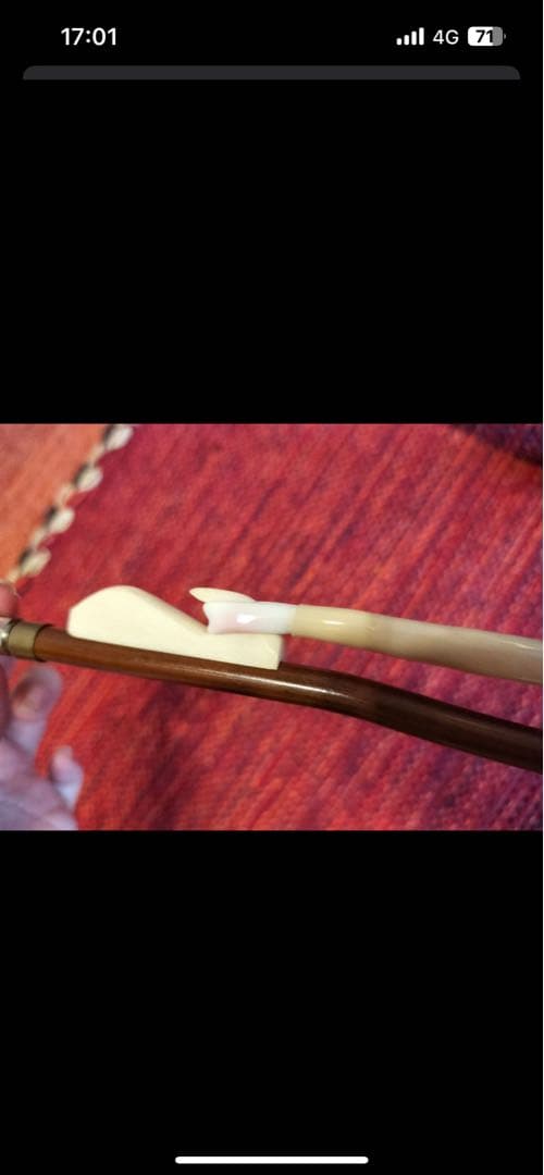 付属品充実！二胡本体と一式 ケース・教本DVD付き