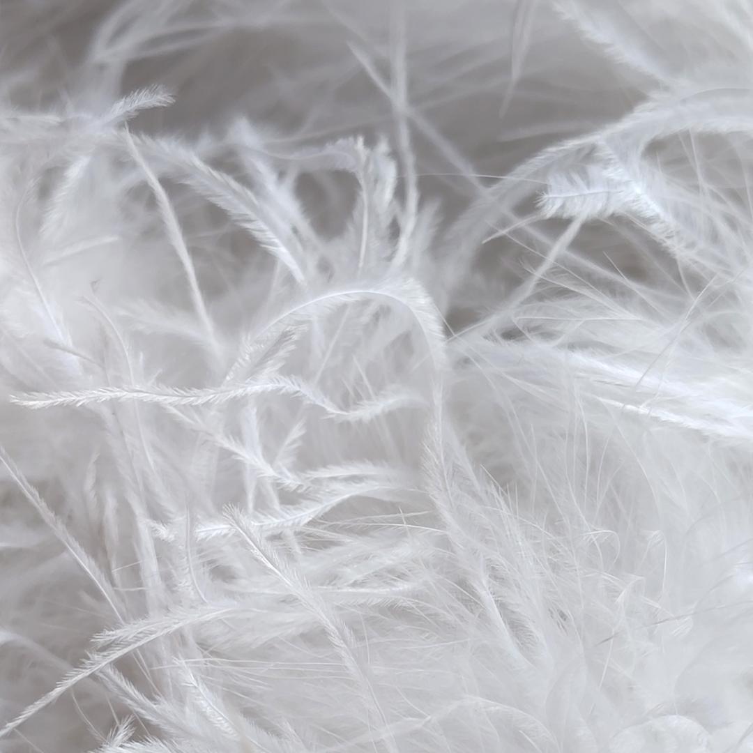 【ツル】3PLY オーストリッチ　黄色