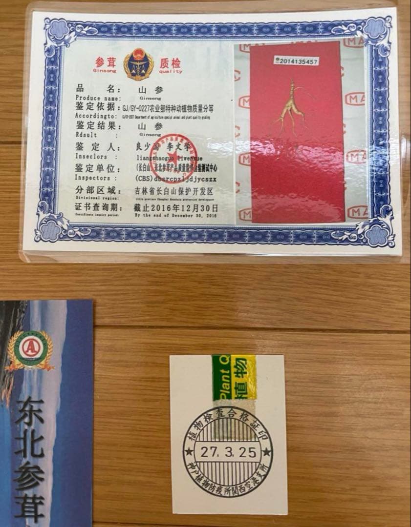 鑑定書付き 中国山参人参　置物　飾り物　高麗人参 シリアル付き
