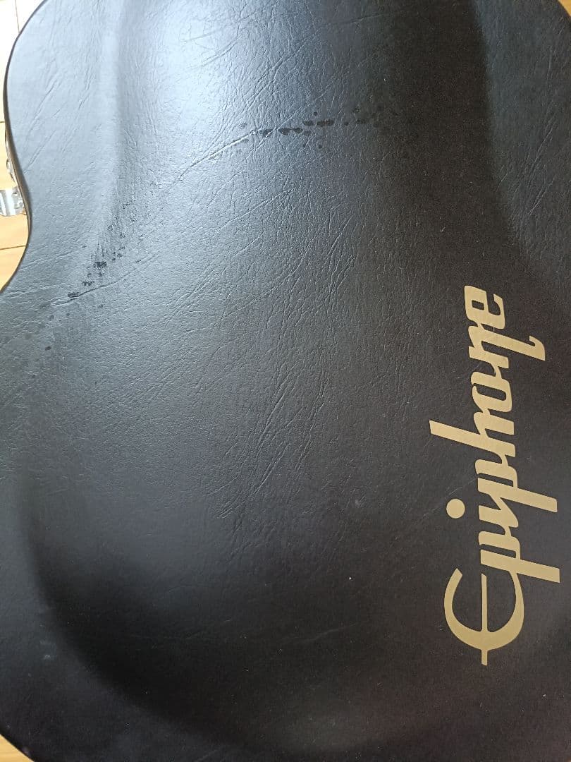 Epiphone カジノクーペ