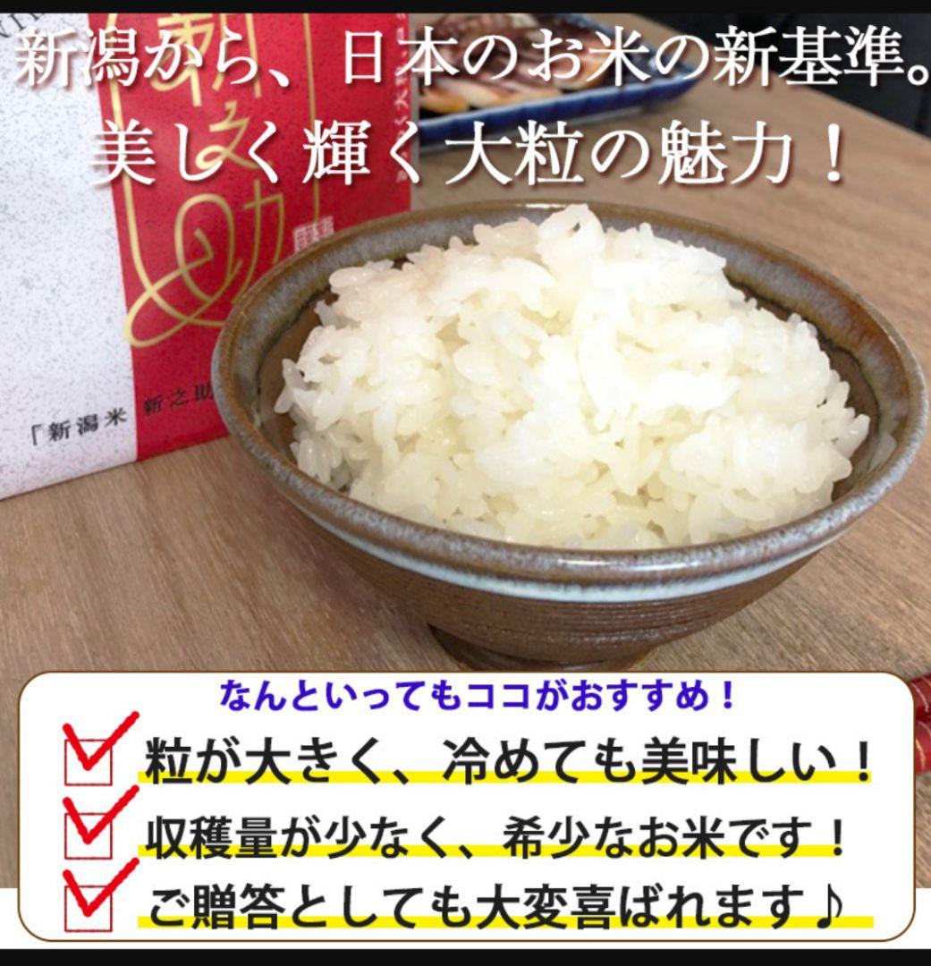 新潟米 新之助 5kg