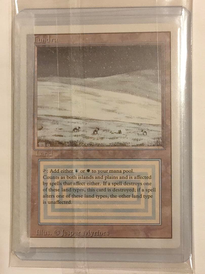マジック：ザ・ギャザリング Tundra 土地カード
