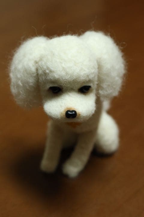 羊毛フェルト　トイプードル