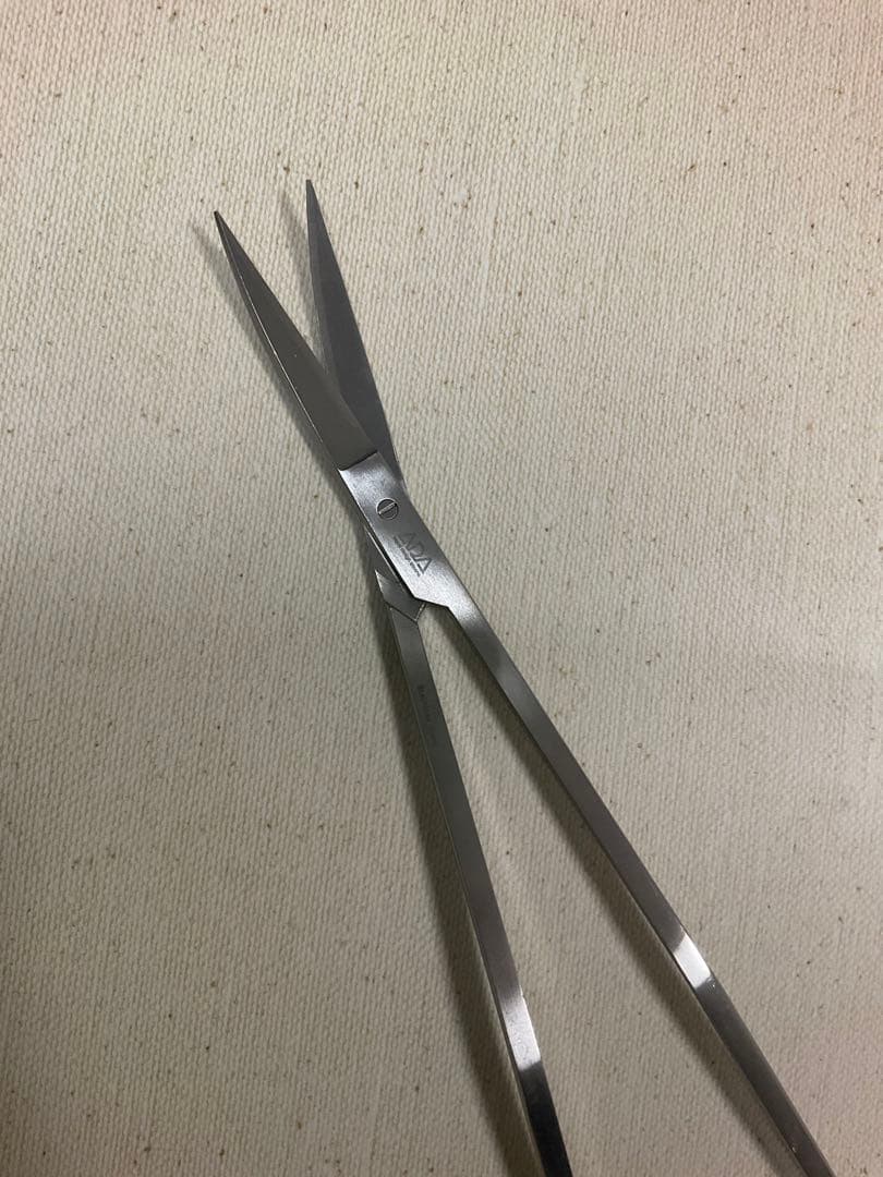 ADAプロシザース ヌード