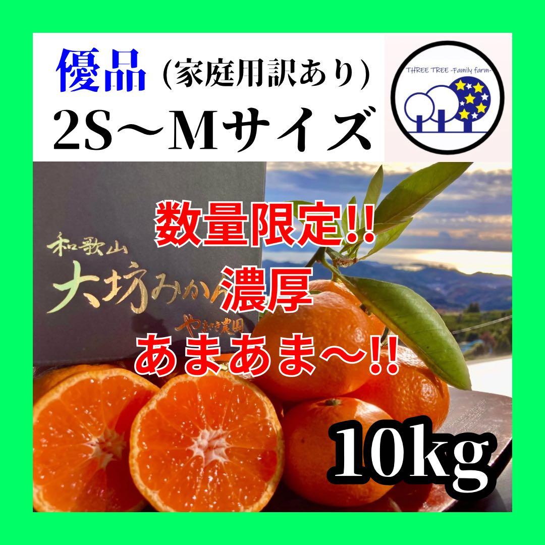 温州みかん 樹熟大坊みかん 優品(家庭用傷あり)2S～Mサイズ10kg