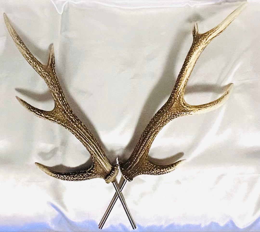 鹿の角　左右セット　テント タープ　希少！4角品（左右8ポイント）
