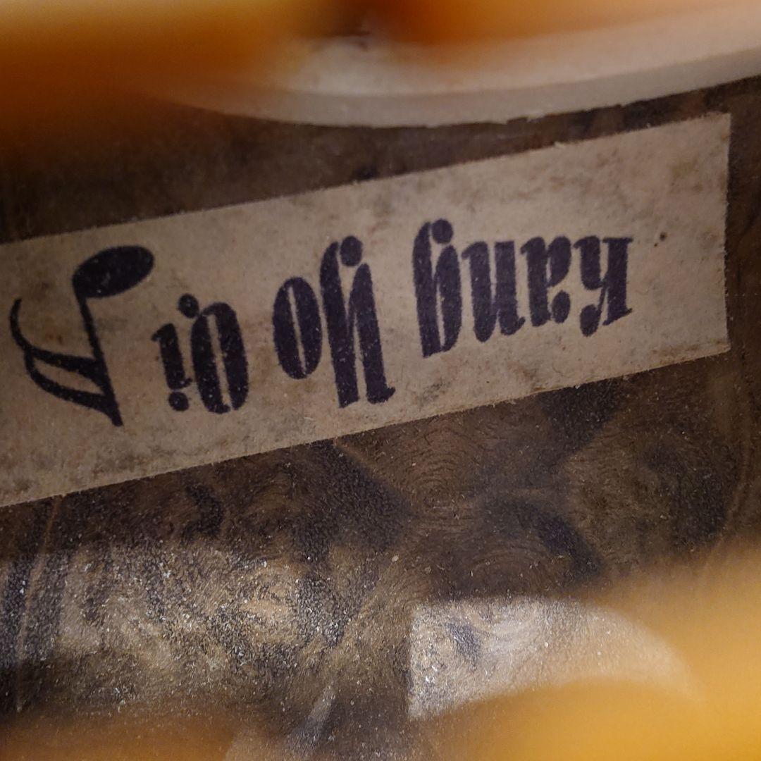 ビオラ本体と付属物一式とbamのケースのセット