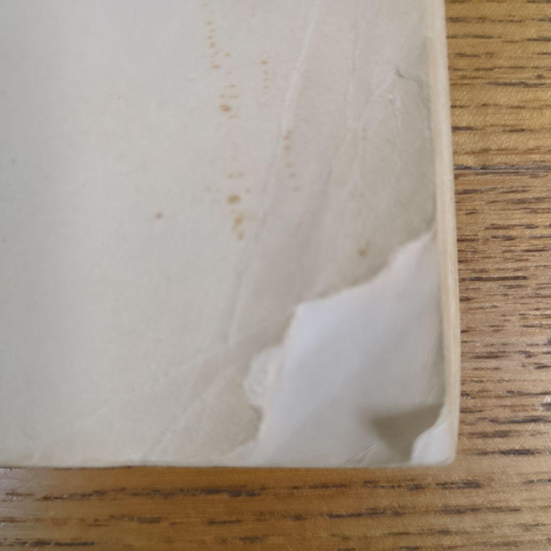 希少！ 「唐玄序集王羲之書金剛経」 「北宋拓聖教序」