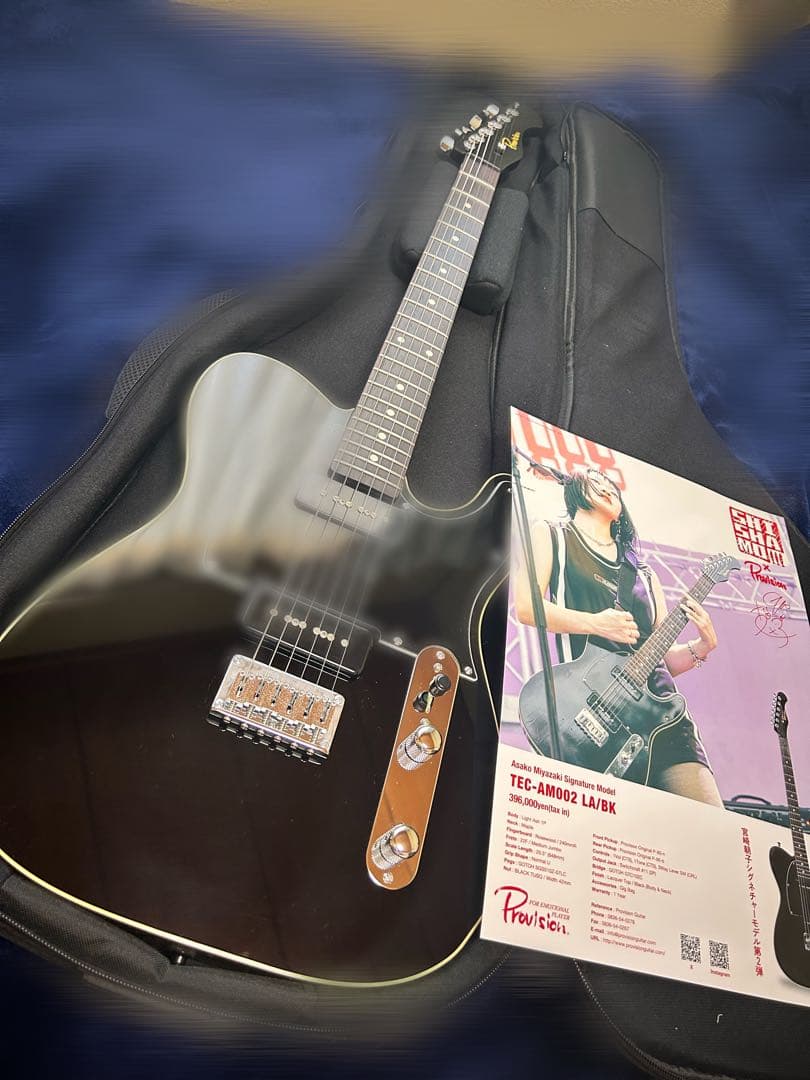 SHISHAMO宮崎朝子シグネチャーモデルギター TEC-AM002 LA/BK