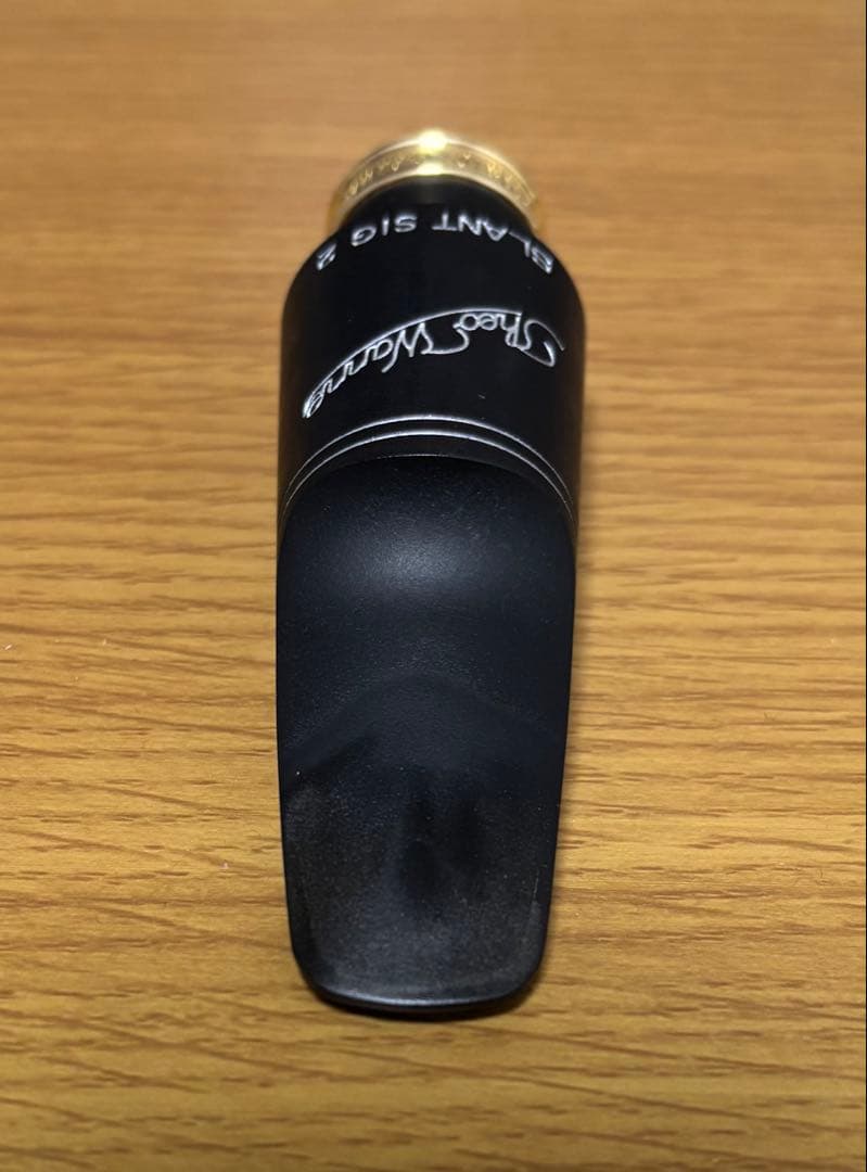 セオワニ Theo Wanne マウスピース　SLANT SIG 2 6⭐︎