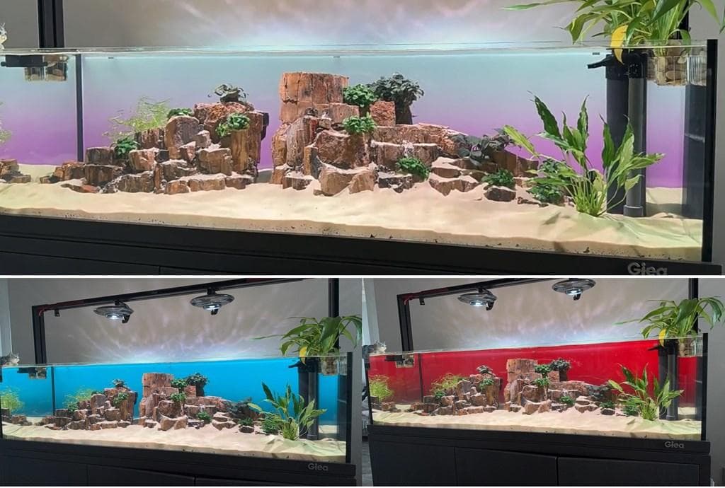 【b2l63】2色カラーLEDライトスクリーン OFF黒 60cm x 36cm