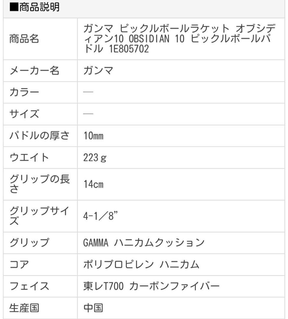 オブシディアン10　OBSIDIAN 10　ピックルボールパドル