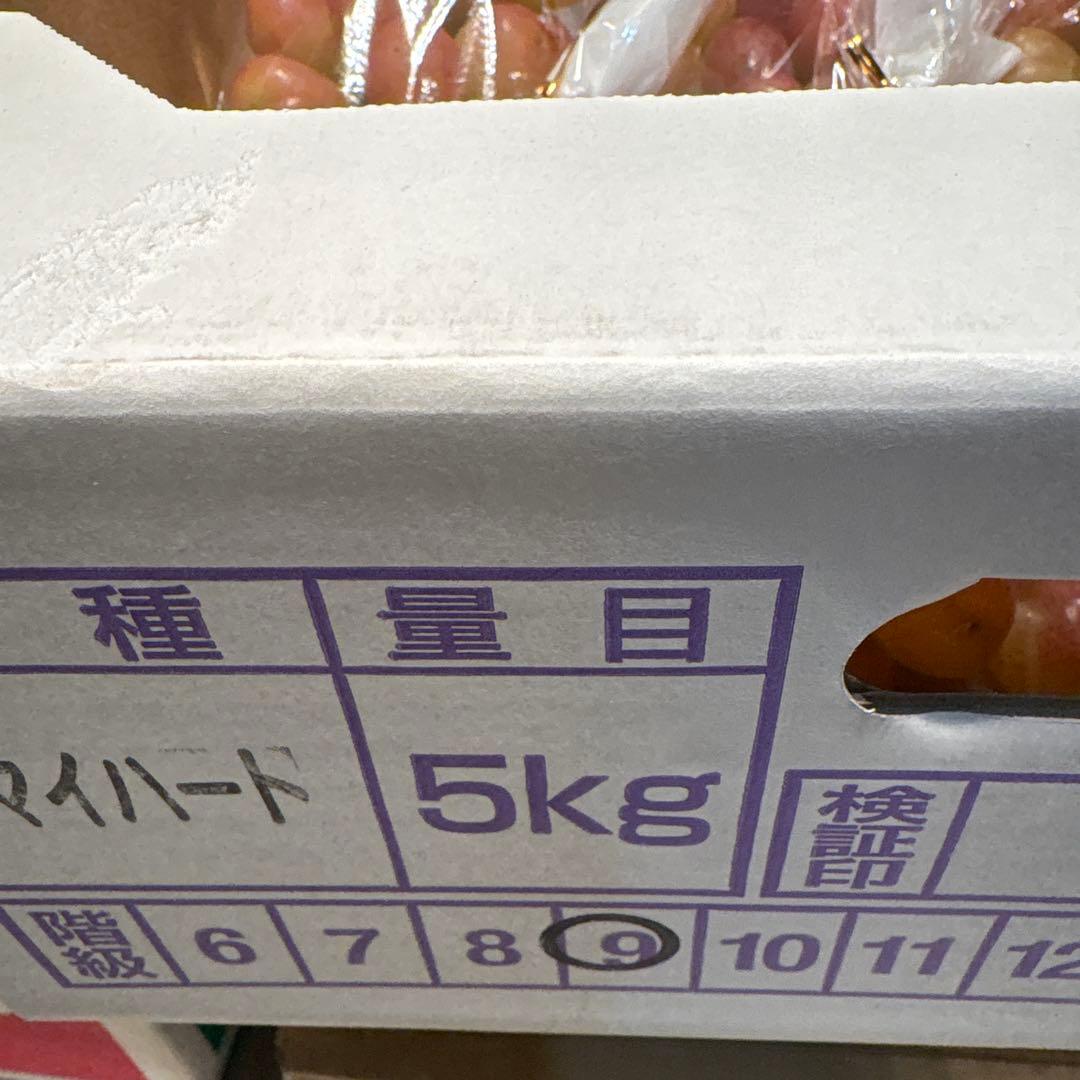 希少品種!! 「マイハート」 特秀 9房5キロ JAふくしま未来